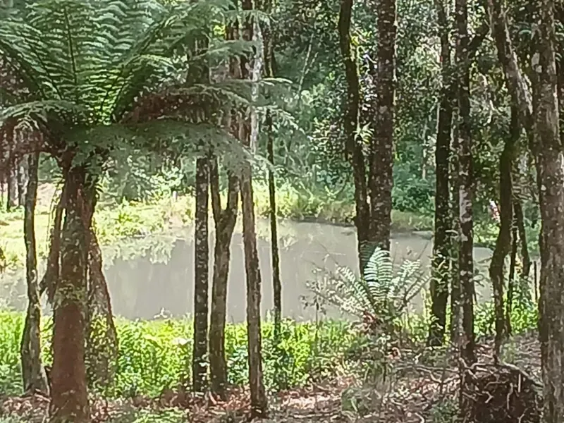 Fazenda em Guarapuava/Paraná — Ref V06DV8 — Imagem 18