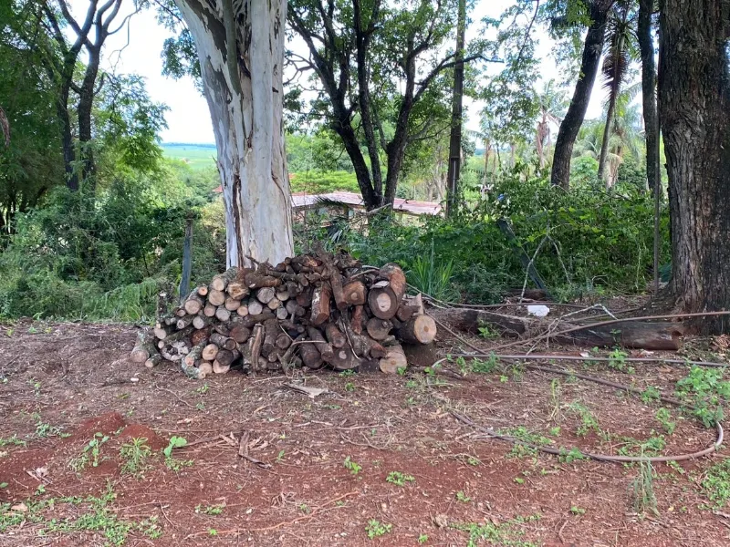 Fazenda em Ibiporã/Paraná — Ref UGURFA — Imagem 9