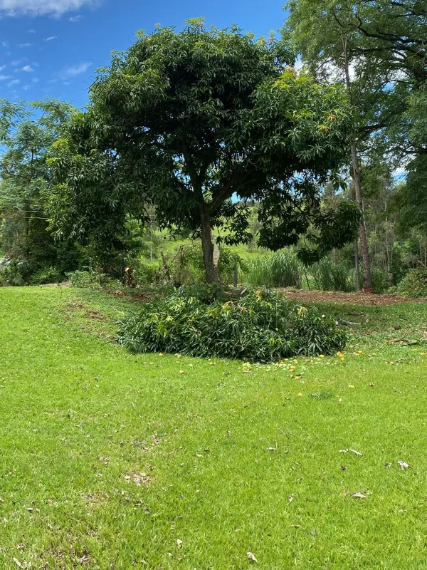 Fazenda em Ibiporã/Paraná — Ref UGURFA — Imagem 11