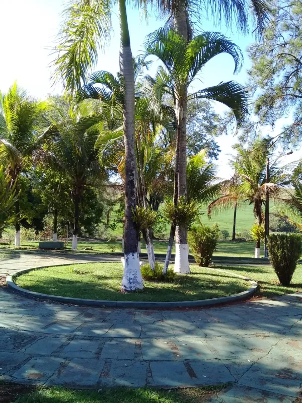 Fazenda em Ibiporã/Paraná — Ref UGURFA — Imagem 18