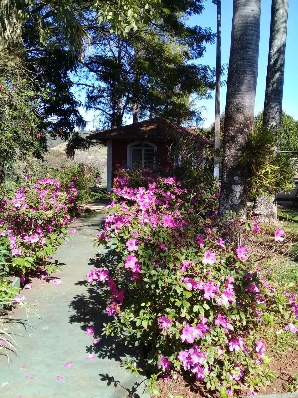Fazenda em Ibiporã/Paraná — Ref UGURFA — Imagem 23