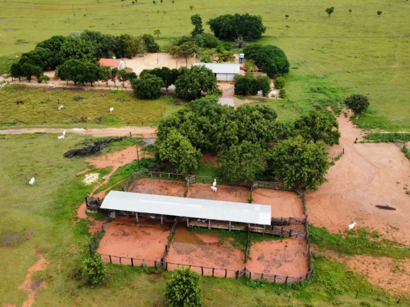 Fazenda em Itacajá/Tocantins — Ref G79C84 — Imagem 10