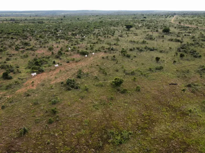 Fazenda em Itacajá/Tocantins — Ref G79C84 — Imagem 8