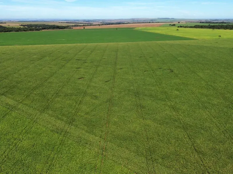 Fazenda em Itumbiara/Goiás — Ref CZ4HZU — Imagem 2