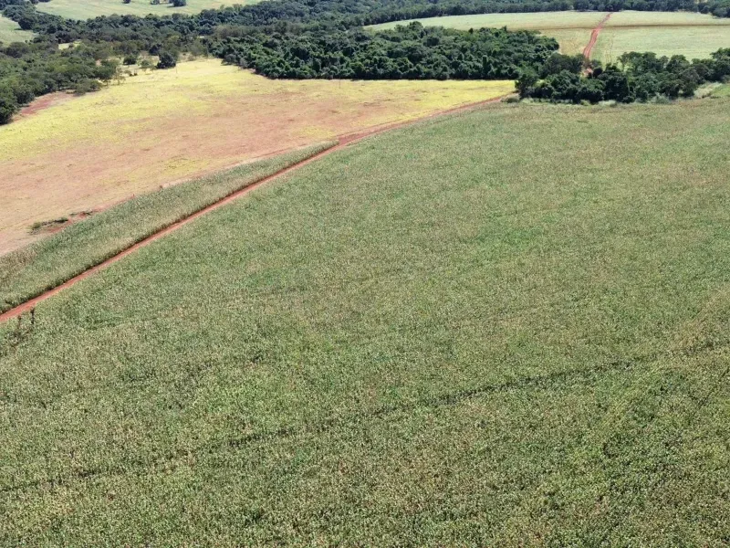 Fazenda em Itumbiara/Goiás — Ref CZ4HZU — Imagem 3