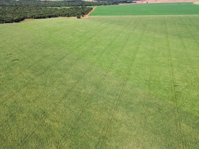 Fazenda em Itumbiara/Goiás — Ref CZ4HZU — Imagem 5