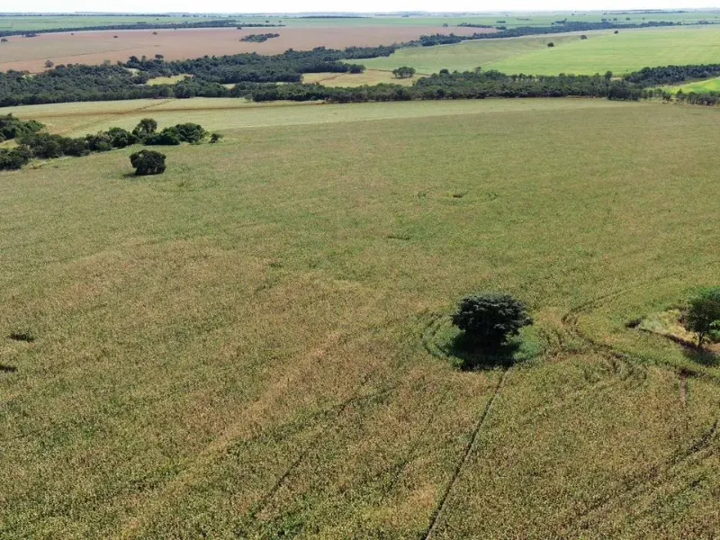 Fazenda em Itumbiara/Goiás — Ref CZ4HZU — Imagem 9