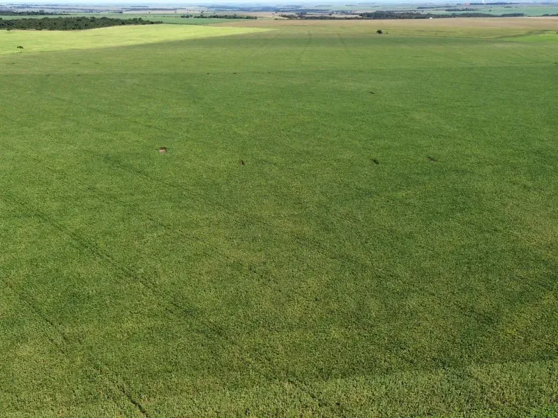 Fazenda em Itumbiara/Goiás — Ref CZ4HZU — Imagem 10