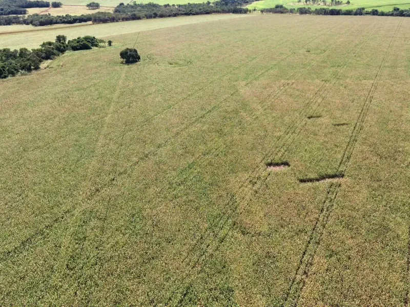 Fazenda em Itumbiara/Goiás — Ref CZ4HZU — Imagem 15