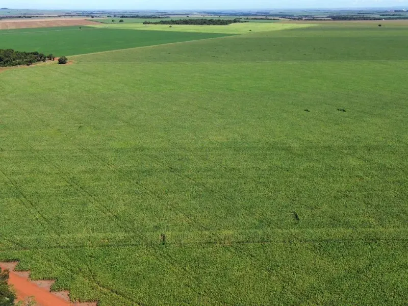 Fazenda em Itumbiara/Goiás — Ref CZ4HZU — Imagem 16