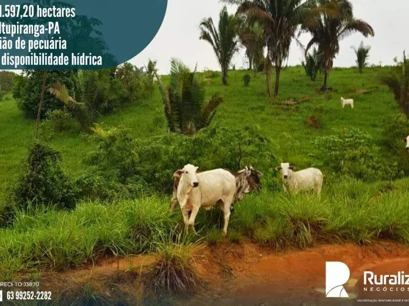 Imóvel rural em Itupiranga/Pará — Ref RV0IAO1