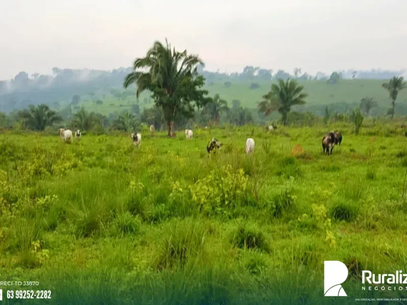 Fazenda em Itupiranga/Pará — Ref RV0IAO — Imagem 2