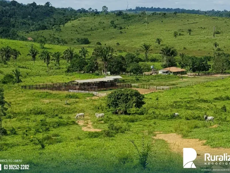 Fazenda em Itupiranga/Pará — Ref RV0IAO — Imagem 3