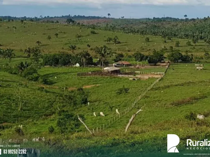 Fazenda em Itupiranga/Pará — Ref RV0IAO — Imagem 4