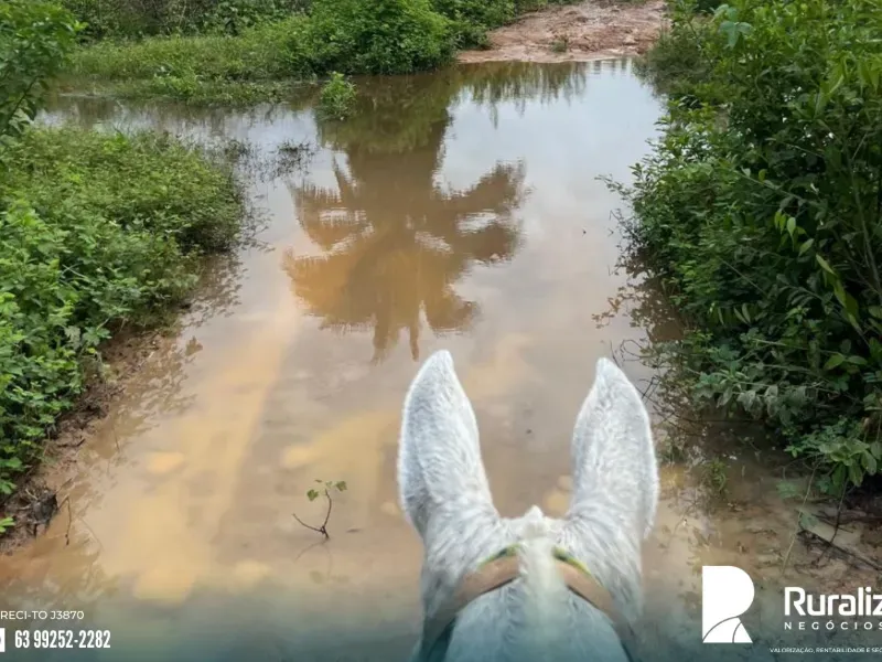 Fazenda em Itupiranga/Pará — Ref RV0IAO — Imagem 8