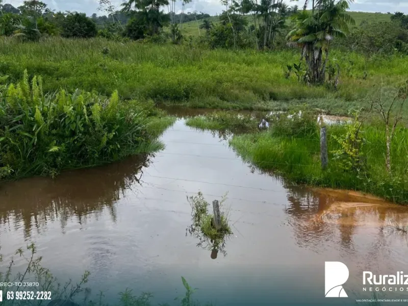 Fazenda em Itupiranga/Pará — Ref RV0IAO — Imagem 9