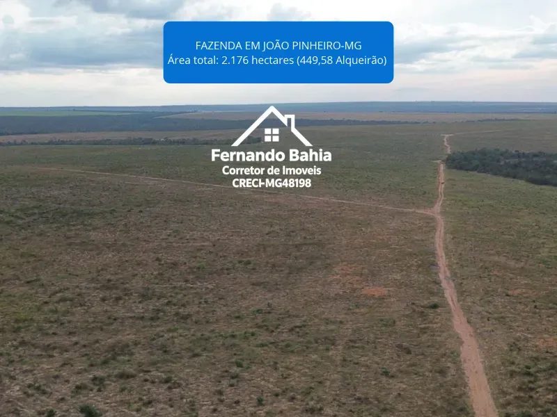 Fazenda em João Pinheiro/Minas Gerais — Ref JQXJLE — Imagem 6
