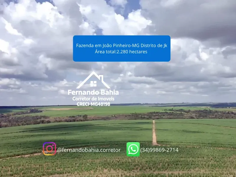 Fazenda em João Pinheiro/Minas Gerais — Ref EG8I05 — Imagem 2