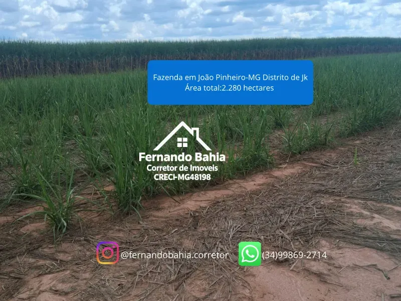 Fazenda em João Pinheiro/Minas Gerais — Ref EG8I05 — Imagem 3