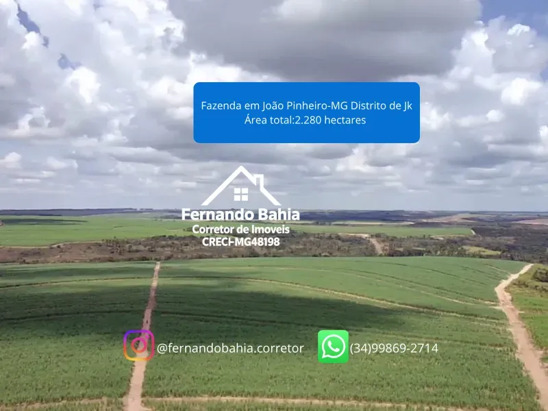 Fazenda em João Pinheiro/Minas Gerais — Ref EG8I05 — Imagem 4