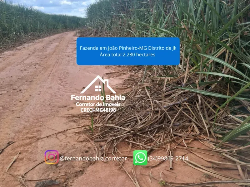 Fazenda em João Pinheiro/Minas Gerais — Ref EG8I05 — Imagem 5