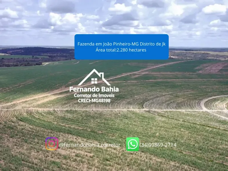 Fazenda em João Pinheiro/Minas Gerais — Ref EG8I05 — Imagem 6