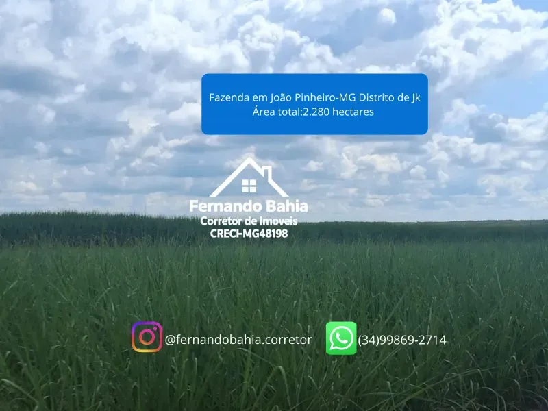 Fazenda em João Pinheiro/Minas Gerais — Ref EG8I05 — Imagem 8