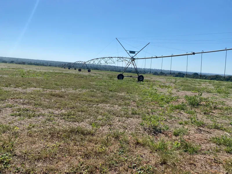 Fazenda em João Pinheiro/Minas Gerais — Ref Y4BUHV — Imagem 2