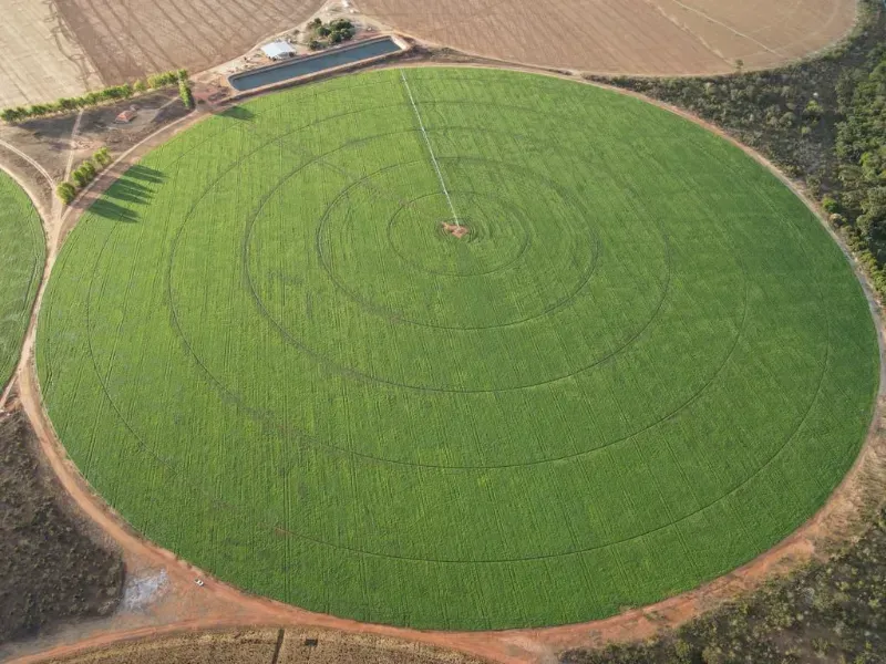 Fazenda em João Pinheiro/Minas Gerais — Ref Y4BUHV — Imagem 4