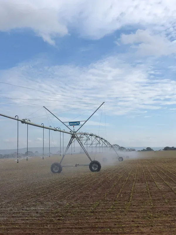 Fazenda em João Pinheiro/Minas Gerais — Ref Y4BUHV — Imagem 7