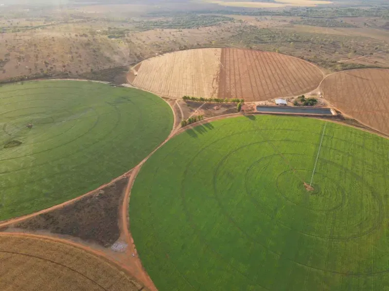 Imóvel rural em João Pinheiro/Minas Gerais — Ref Y4BUHV1