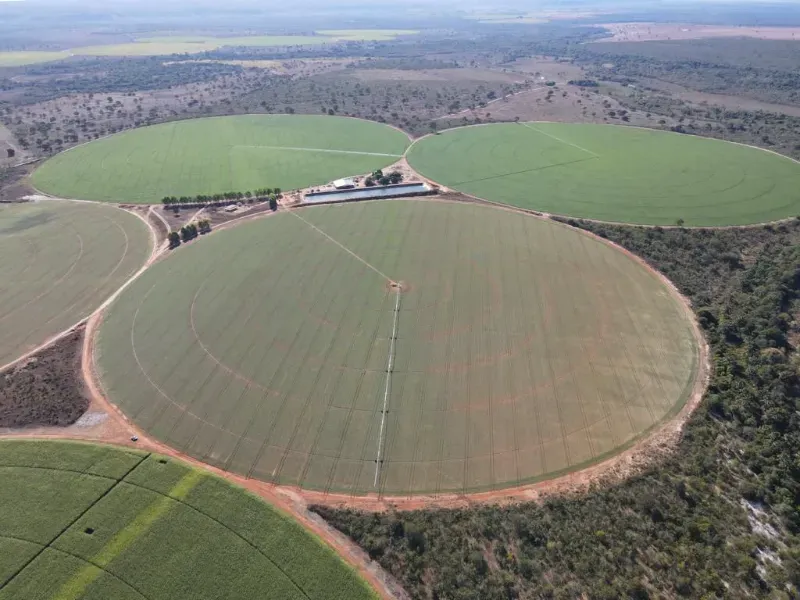 Fazenda em João Pinheiro/Minas Gerais — Ref Y4BUHV — Imagem 9