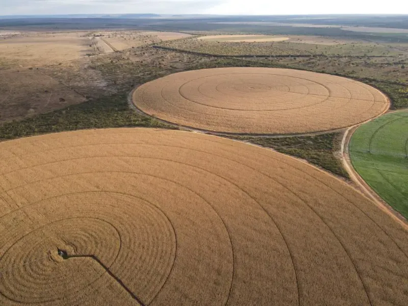 Fazenda em João Pinheiro/Minas Gerais — Ref Y4BUHV — Imagem 10