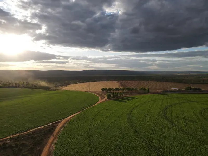Fazenda em João Pinheiro/Minas Gerais — Ref Y4BUHV — Imagem 12