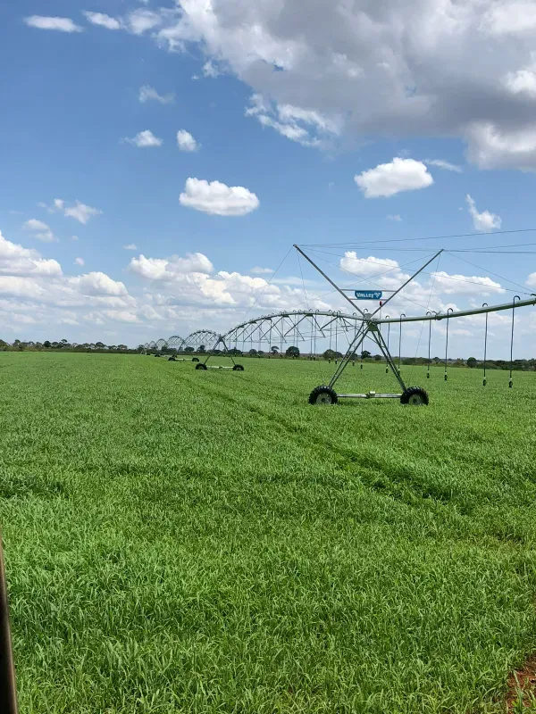 Fazenda em João Pinheiro/Minas Gerais — Ref Y4BUHV — Imagem 13