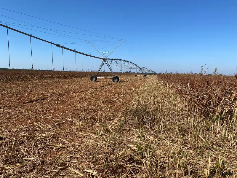 Fazenda em João Pinheiro/Minas Gerais — Ref Y4BUHV — Imagem 17