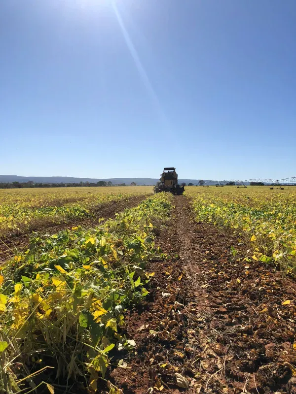 Fazenda em João Pinheiro/Minas Gerais — Ref Y4BUHV — Imagem 19