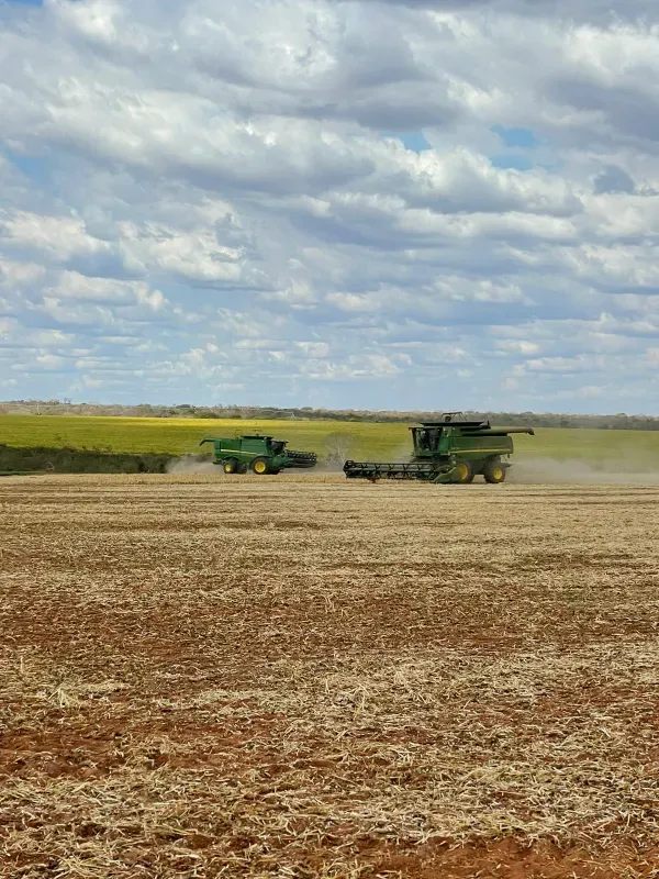 Fazenda em João Pinheiro/Minas Gerais — Ref Y4BUHV — Imagem 21