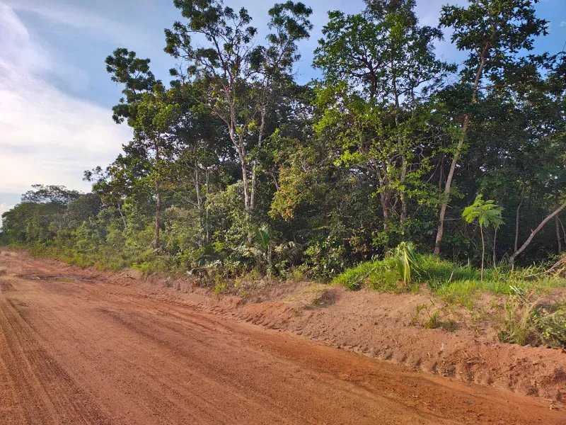 Fazenda em João Pinheiro/Minas Gerais — Ref INJPFV — Imagem 7