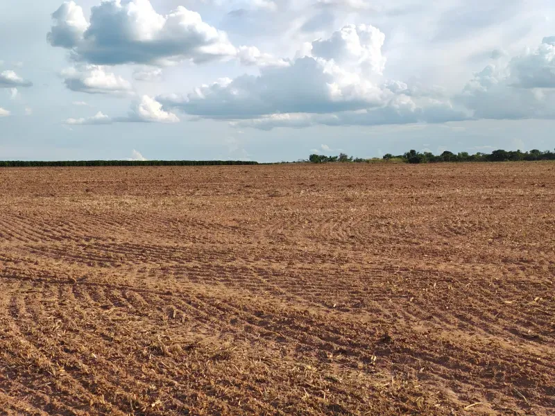Imóvel rural em João Pinheiro/Minas Gerais — Ref INJPFV1