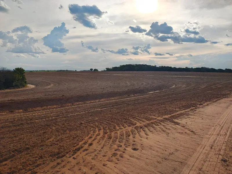 Fazenda em João Pinheiro/Minas Gerais — Ref INJPFV — Imagem 2