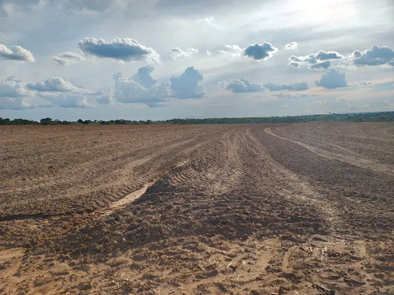 Fazenda em João Pinheiro/Minas Gerais — Ref INJPFV — Imagem 3