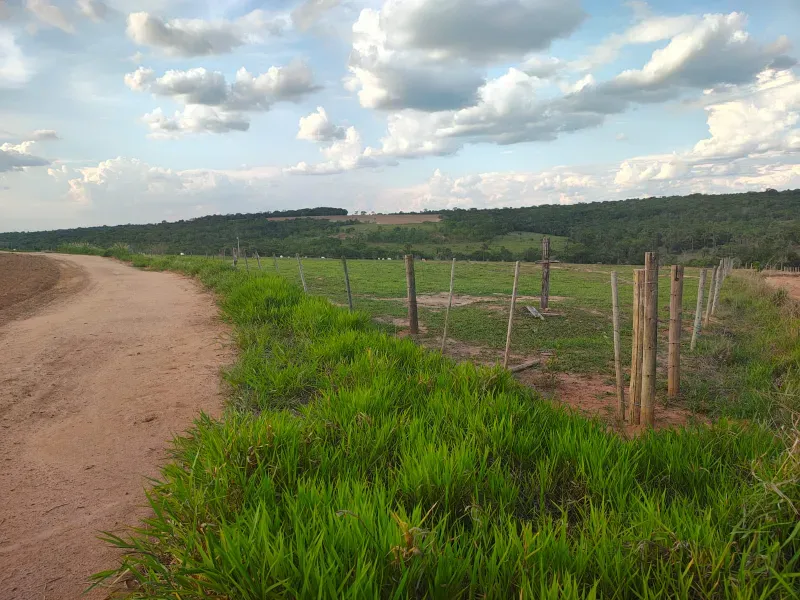 Fazenda em João Pinheiro/Minas Gerais — Ref INJPFV — Imagem 6