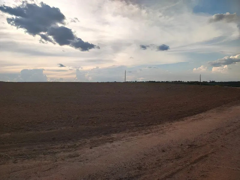 Fazenda em João Pinheiro/Minas Gerais — Ref INJPFV — Imagem 4