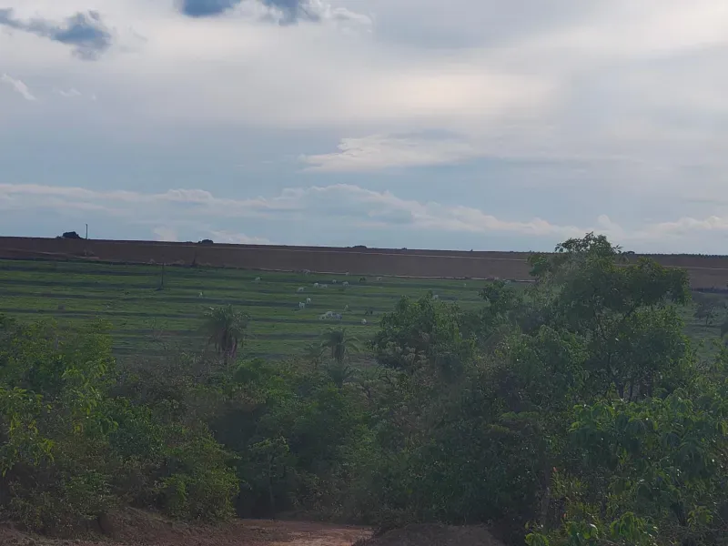 Fazenda em João Pinheiro/Minas Gerais — Ref INJPFV — Imagem 5
