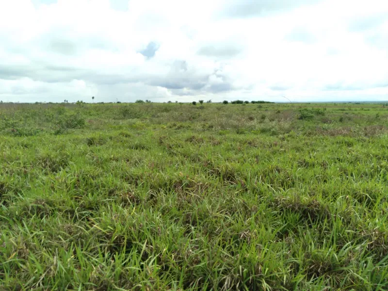 Imóvel rural em Juarina/Tocantins — Ref C99V3W1