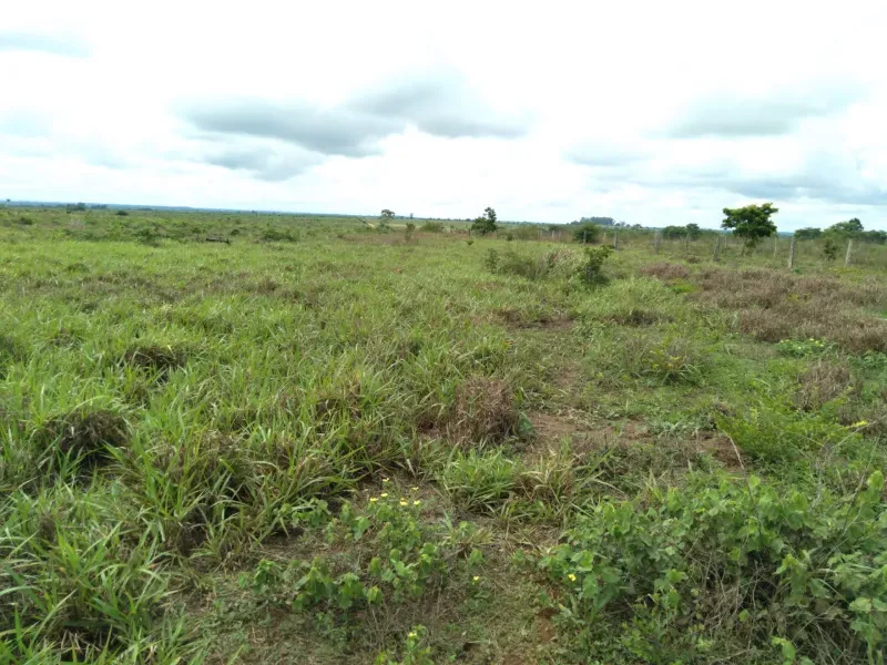 Fazenda em Juarina/Tocantins — Ref C99V3W — Imagem 5