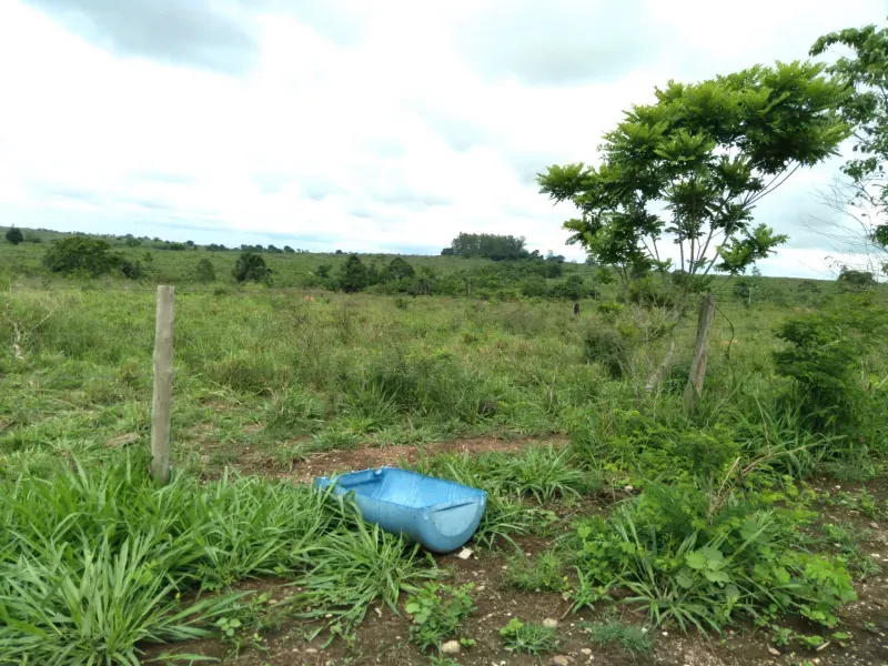 Fazenda em Juarina/Tocantins — Ref C99V3W — Imagem 6