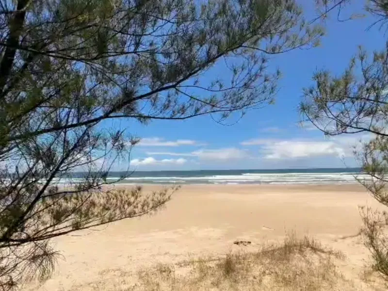 Fazenda em Laguna/Santa Catarina — Ref WFERBI — Imagem 10