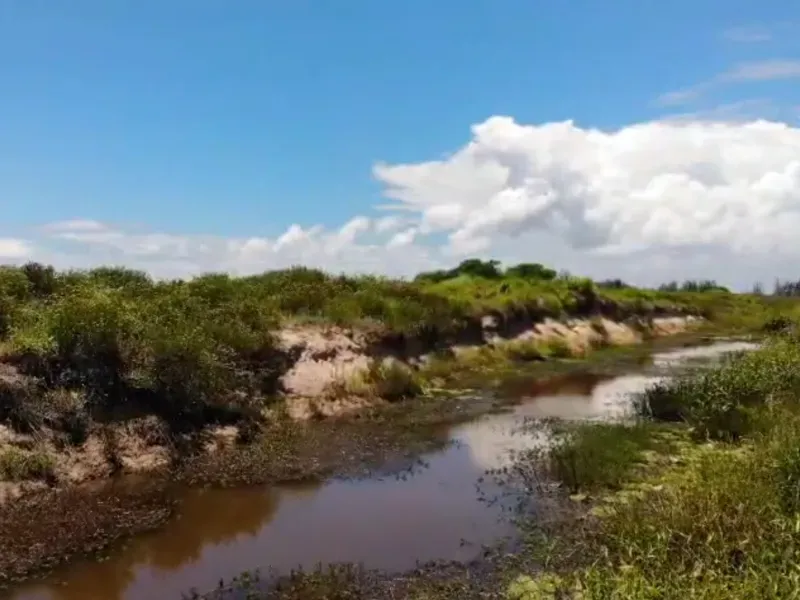 Fazenda em Laguna/Santa Catarina — Ref WFERBI — Imagem 18